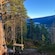 A tree swing overlooking a mountain valley